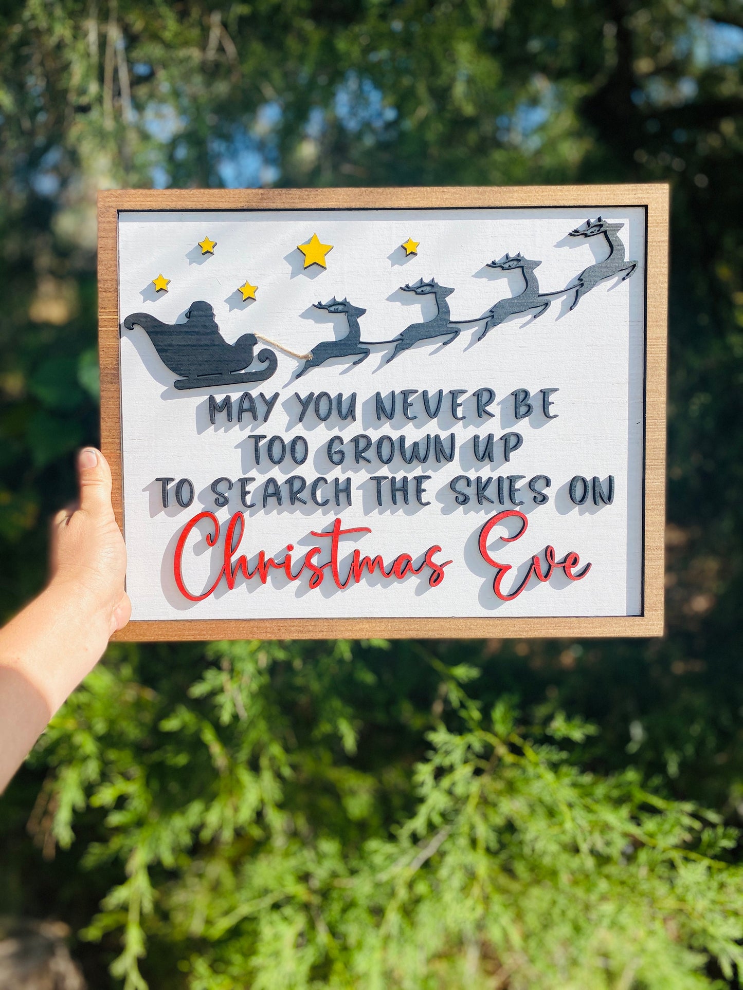 May you never be too old, search the skies, Christmas Eve, holiday decor, Santa decor, reindeer sleigh, Christmas decor, home decor
