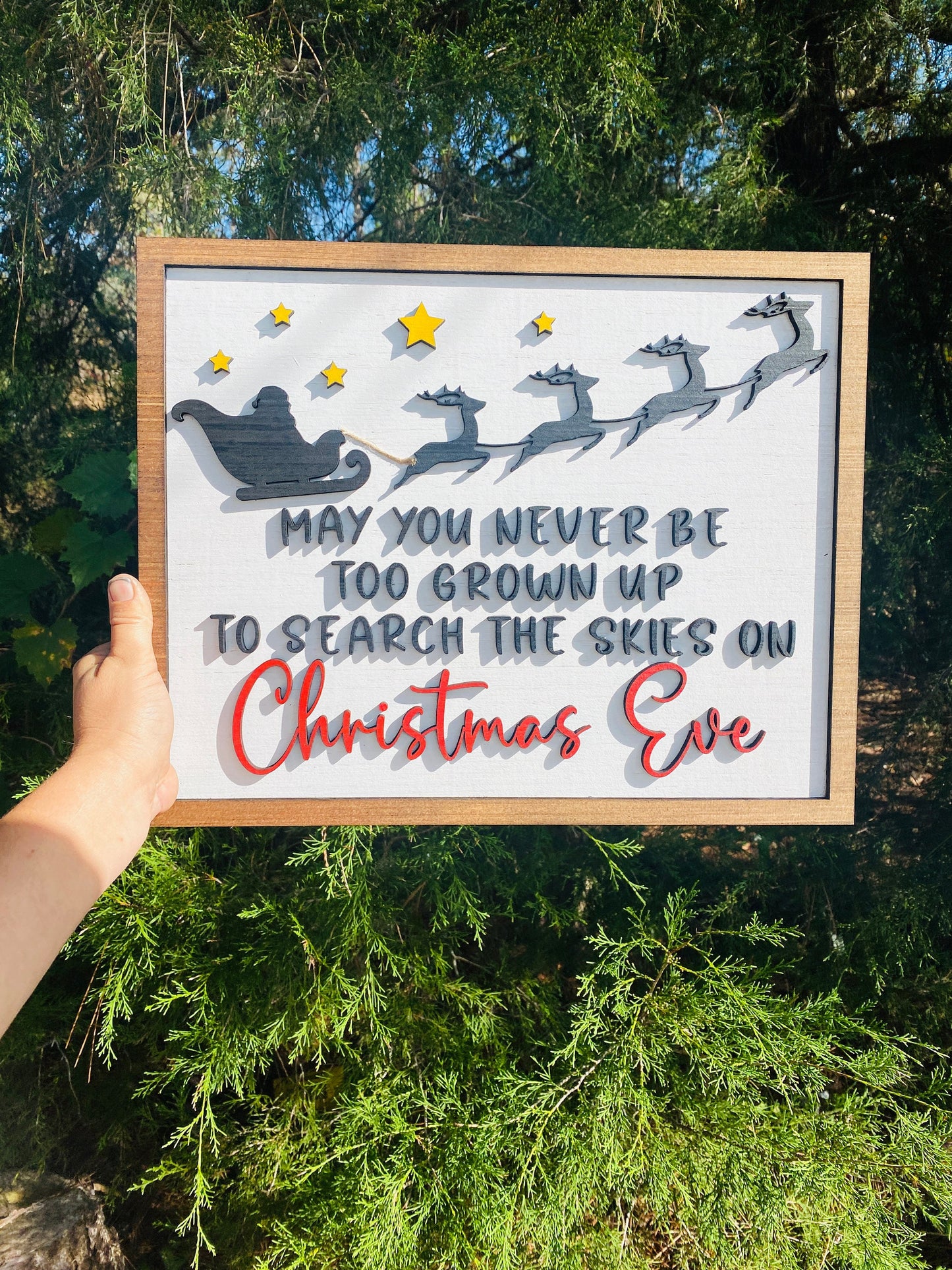 May you never be too old, search the skies, Christmas Eve, holiday decor, Santa decor, reindeer sleigh, Christmas decor, home decor