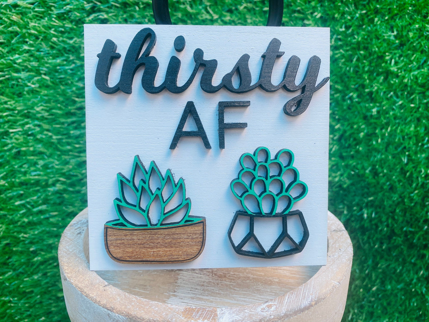 Succulents Tier Tray set home decor for decorative trays