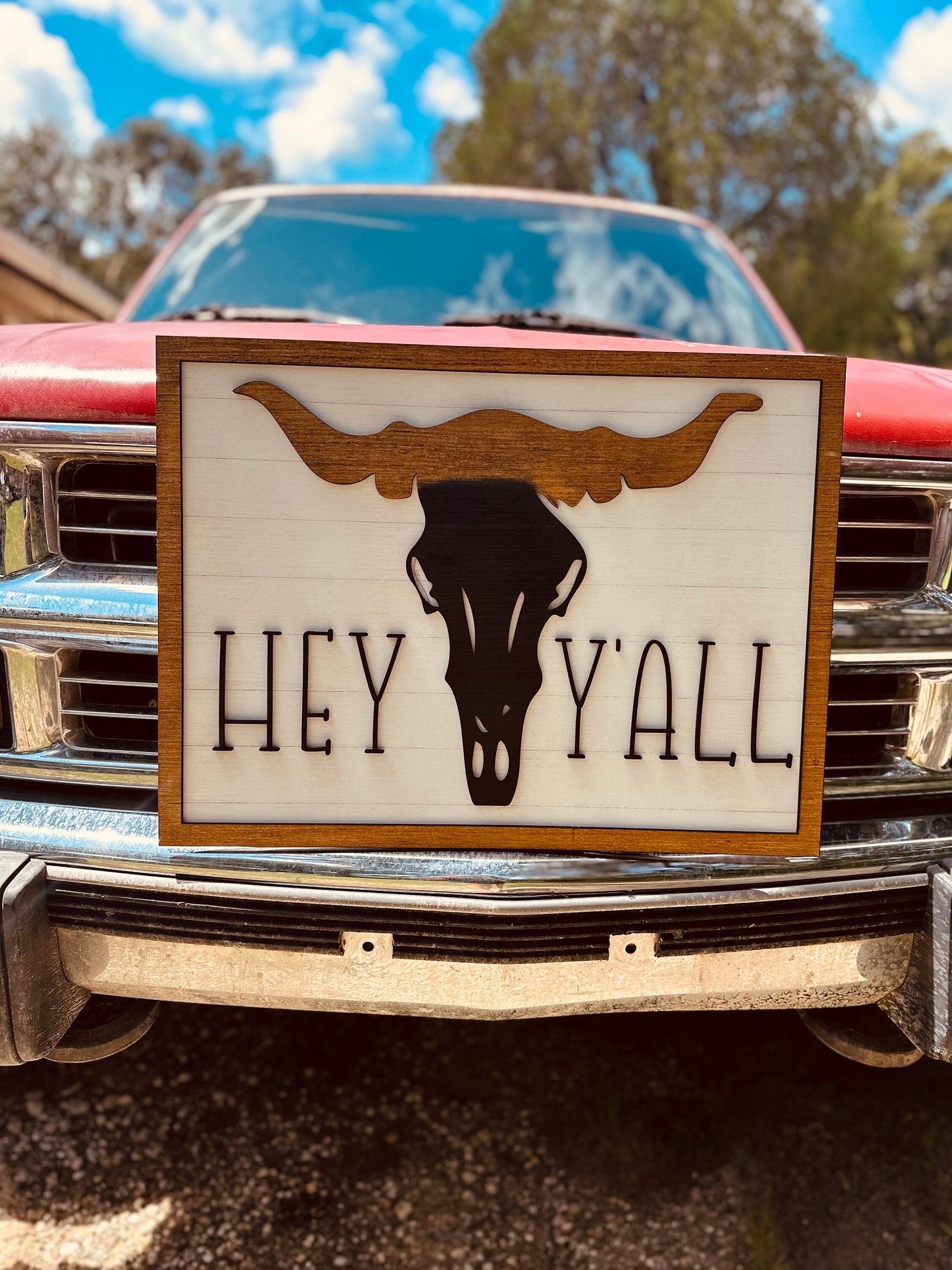 Welcome sign, home decor, hey yall, cow head, western, country decor, farmhouse, wall hanging, hey, yall, country house, cow, horns, rustic