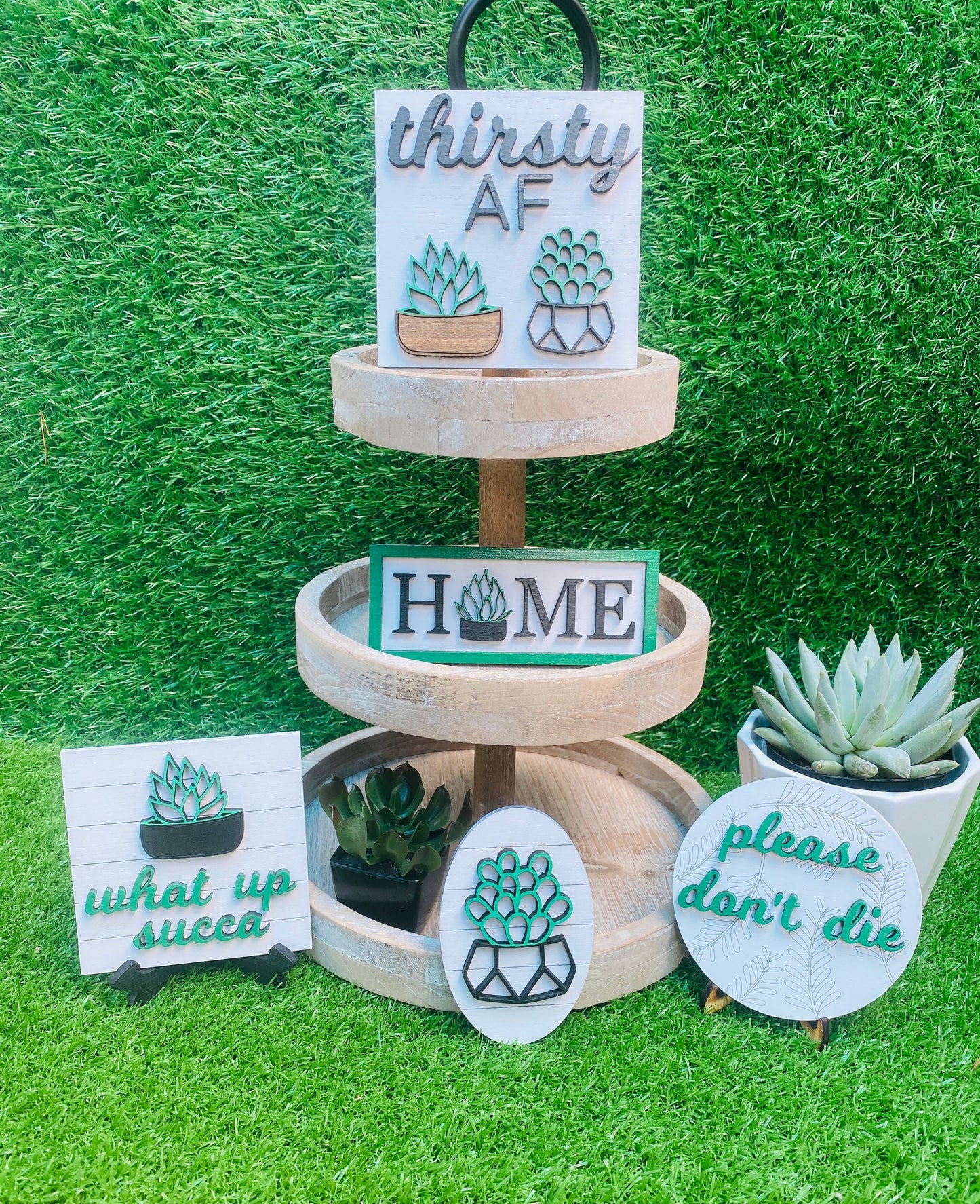 Succulents Tier Tray set home decor for decorative trays