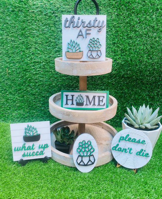 Succulents Tier Tray set home decor for decorative trays