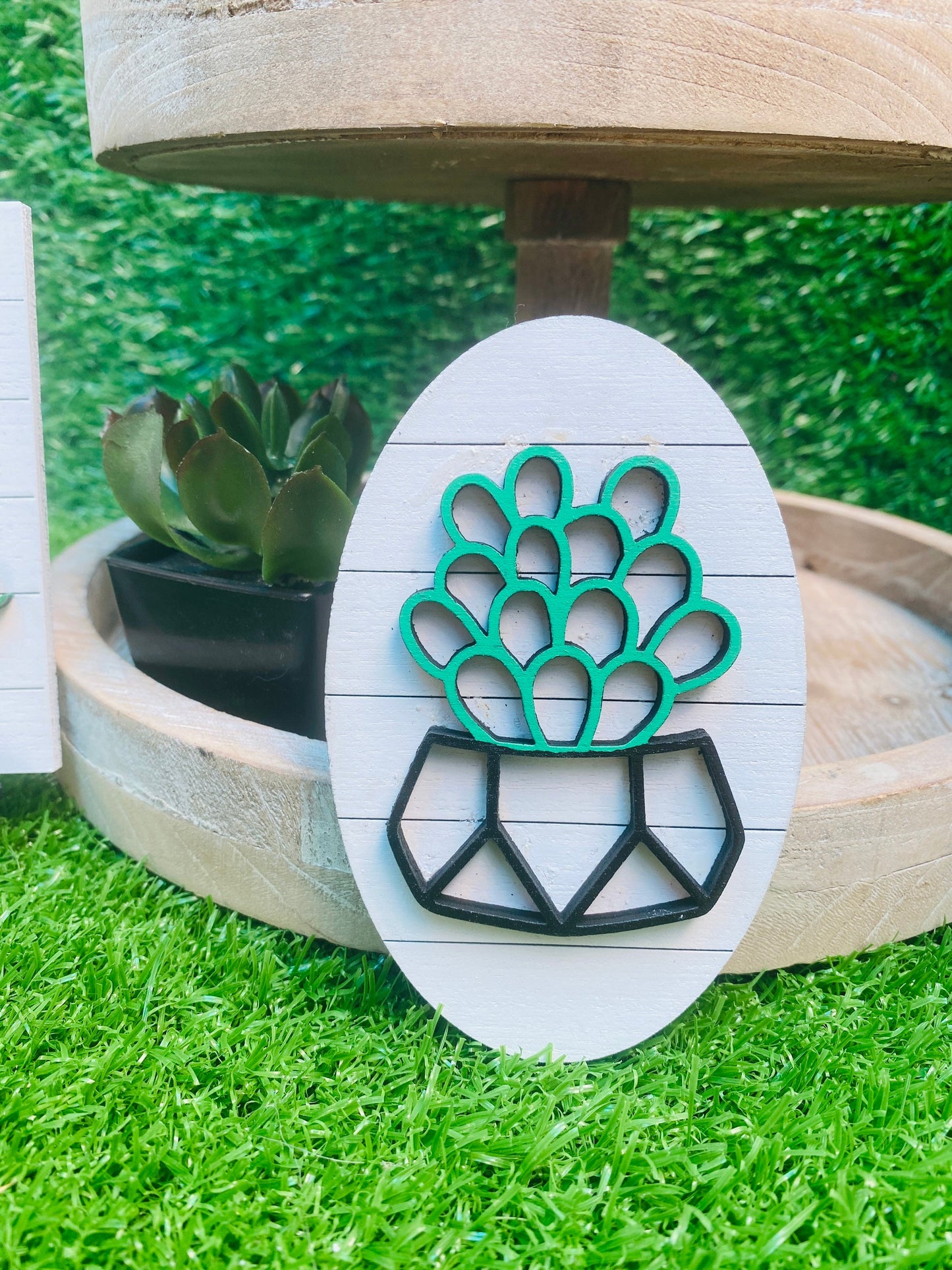 Succulents Tier Tray set home decor for decorative trays