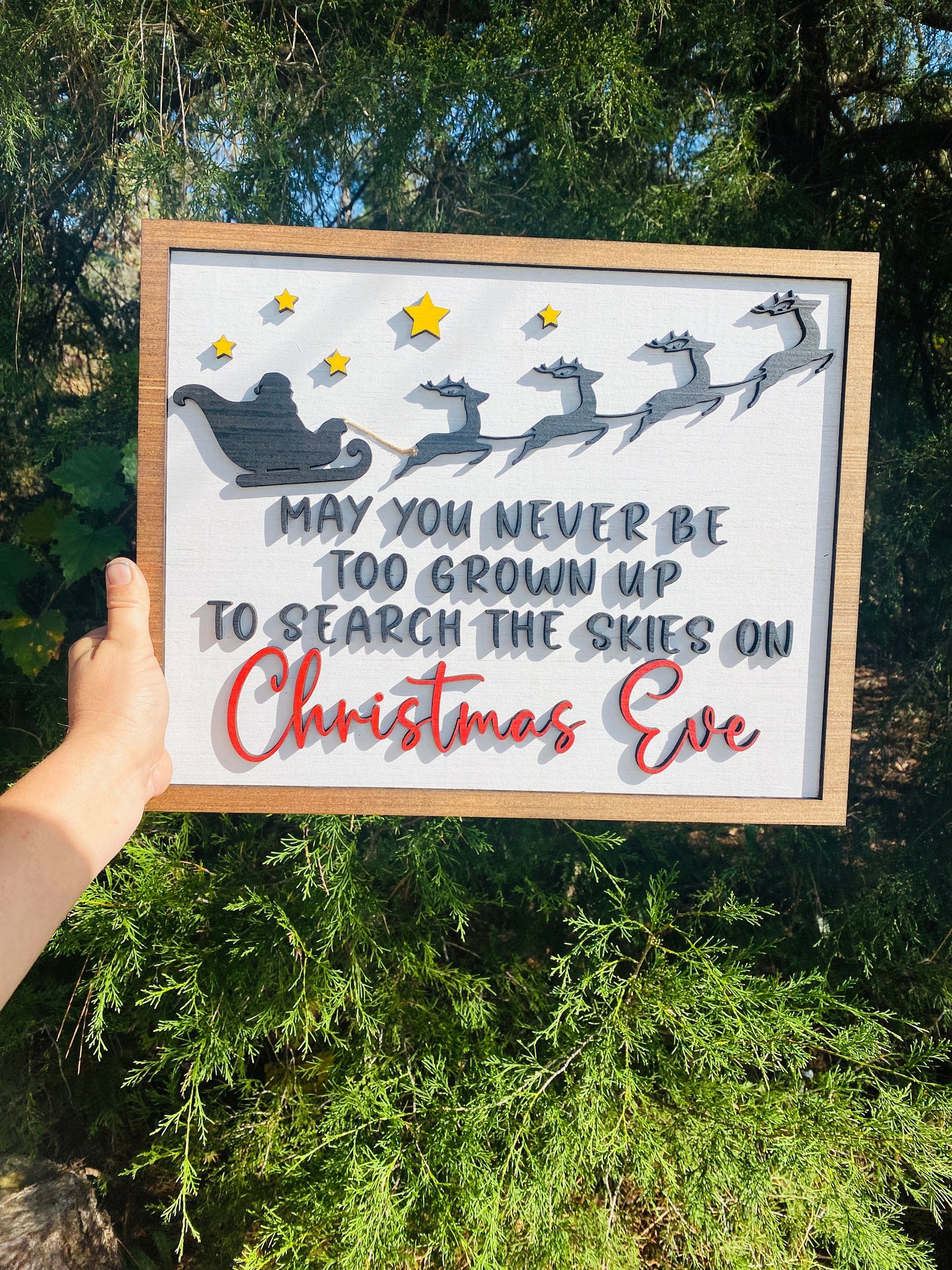 May you never be too old, search the skies, Christmas Eve, holiday decor, Santa decor, reindeer sleigh, Christmas decor, home decor
