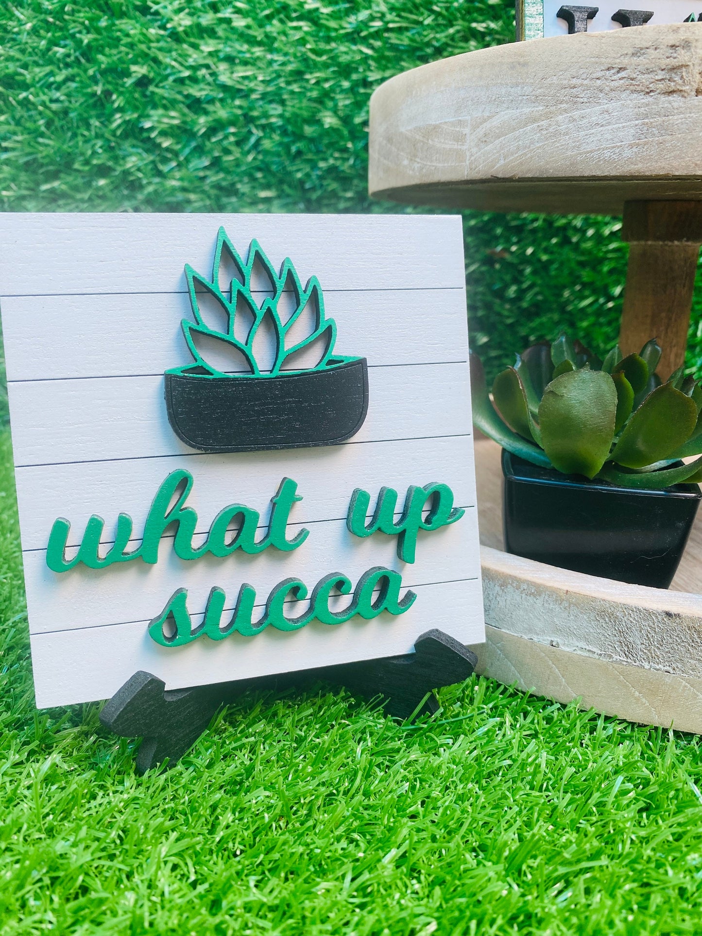 Succulents Tier Tray set home decor for decorative trays